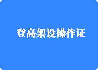 逼逼用力操日登高架设操作证